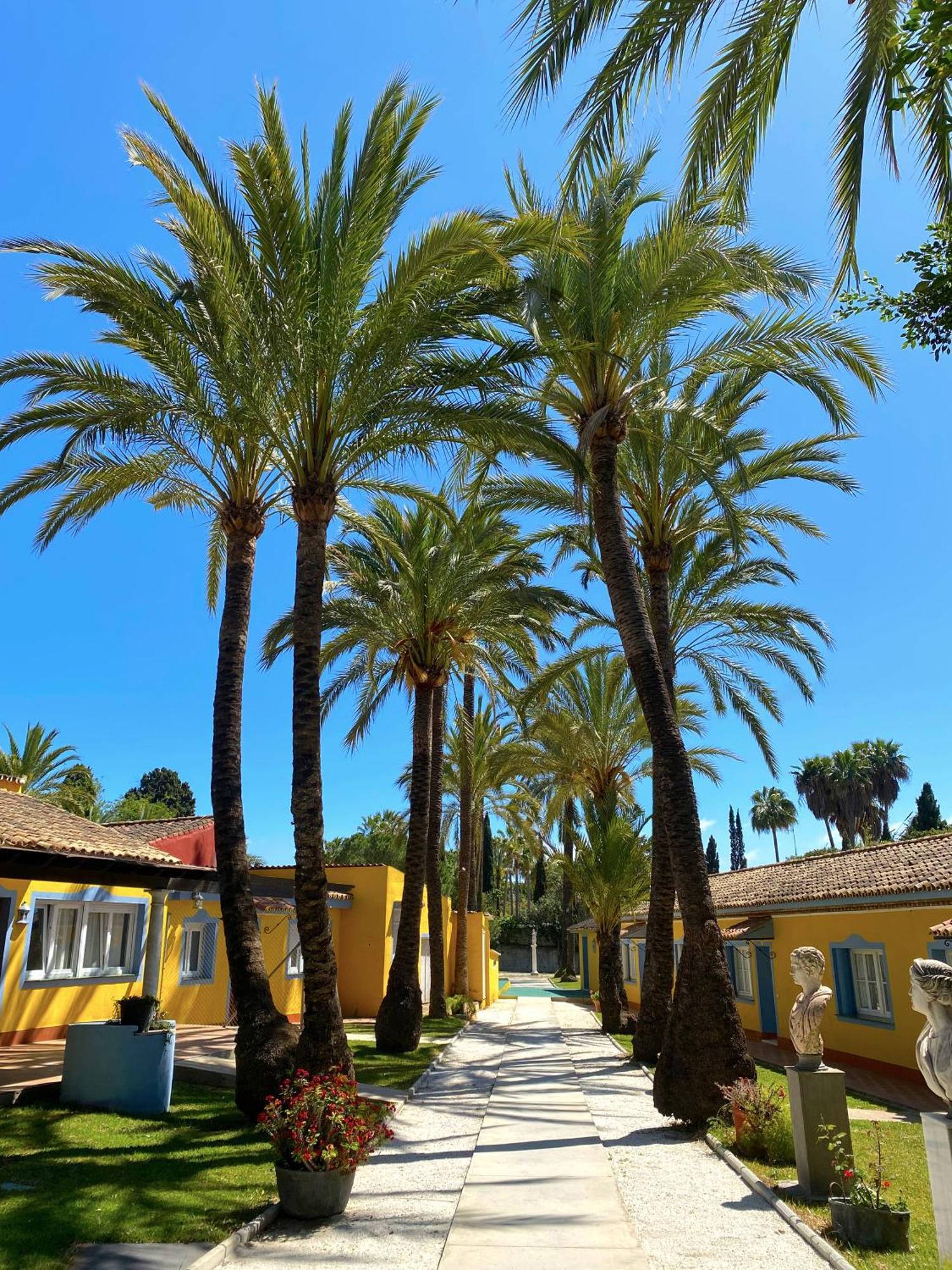 Apartamento Cortijo La Saleta Marbella